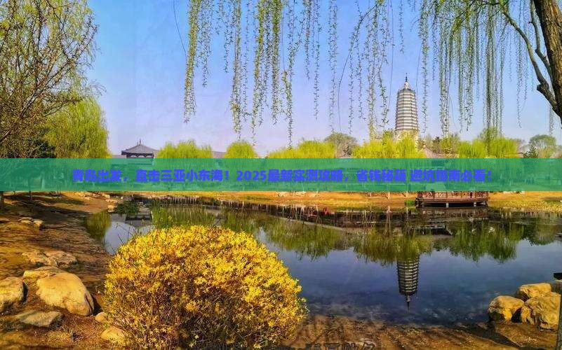 青岛去三亚小东海自由行