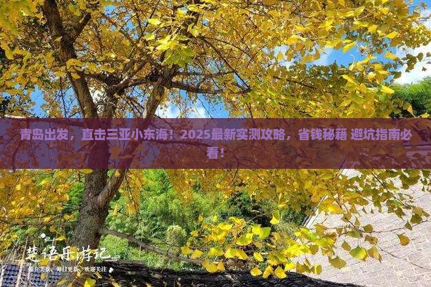 青岛去三亚小东海自由行