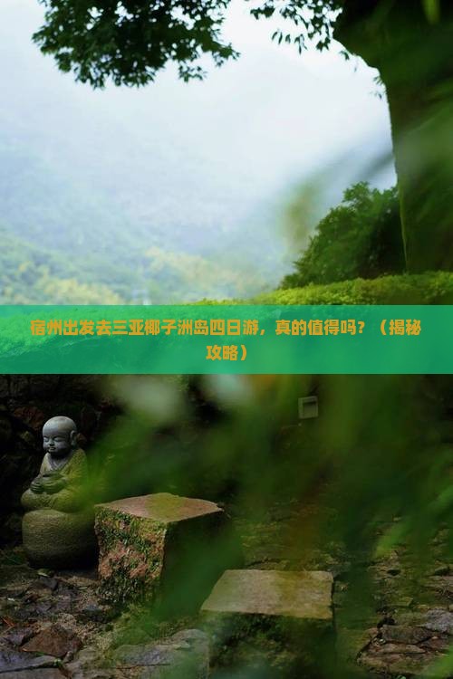 宿州去三亚椰子洲岛四日游