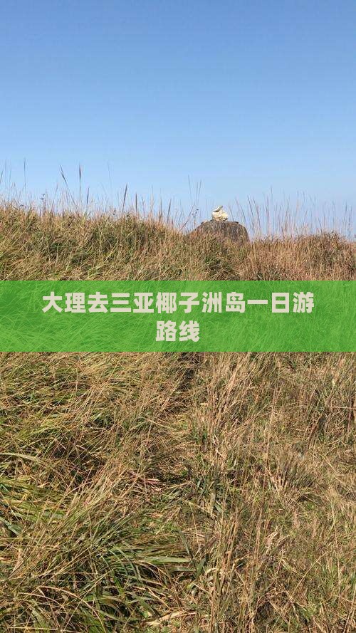 大理去三亚椰子洲岛一日游