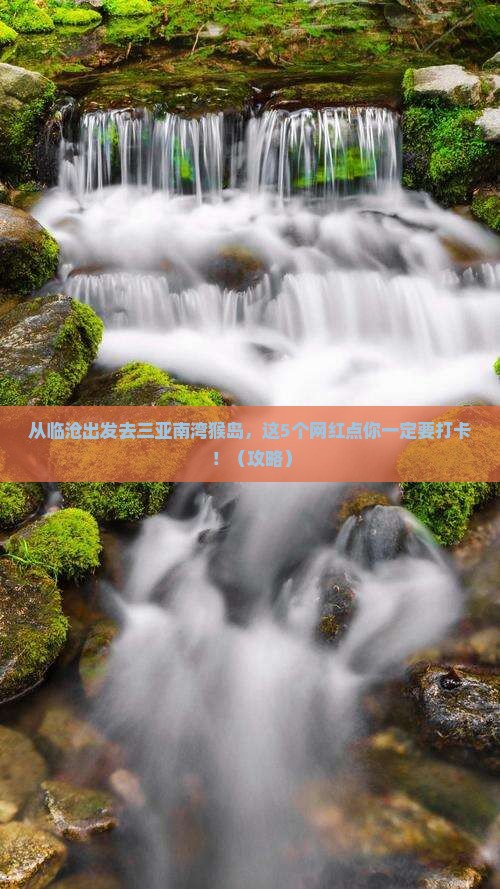 临沧出发三亚南湾猴岛旅游网红地点