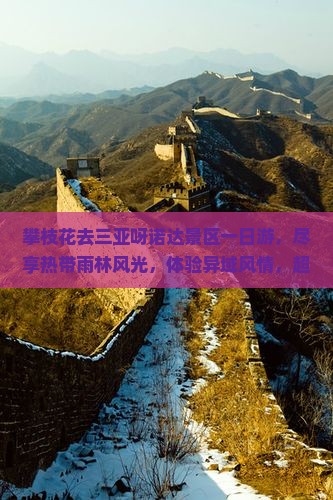 攀枝花去三亚呀诺达景区一日游
