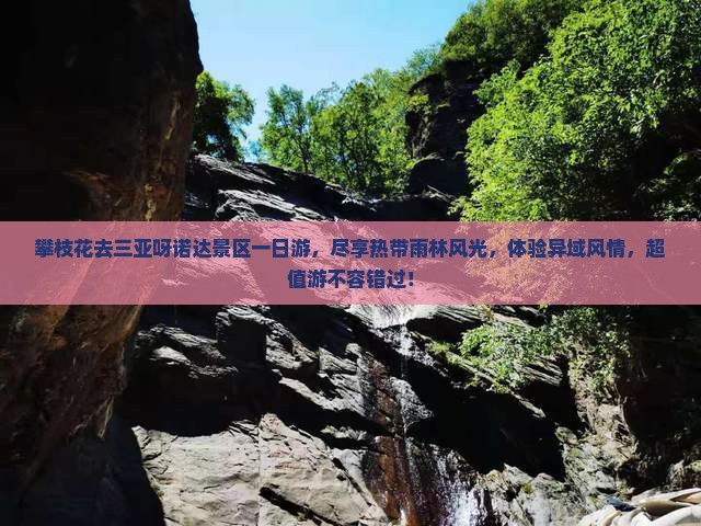 攀枝花去三亚呀诺达景区一日游