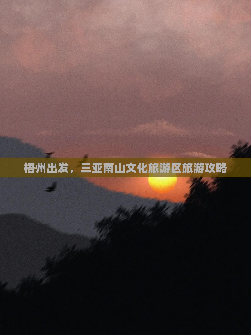 梧州前往三亚南山文化旅游区一日游