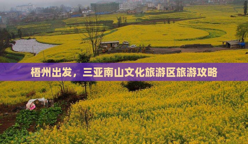 梧州前往三亚南山文化旅游区一日游