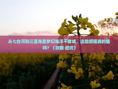 七台河前往三亚海昌梦幻海洋不夜城旅游打卡点