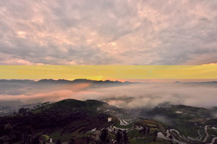 益阳出发三亚半山半岛帆船港旅游