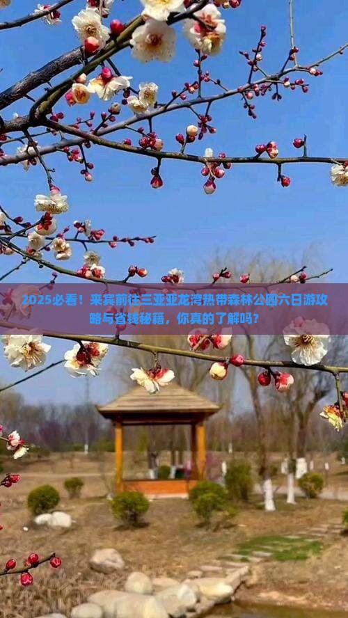 来宾前往三亚亚龙湾热带森林公园六日游