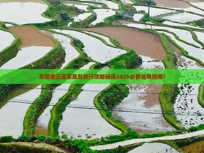 阜阳去三亚呆呆岛旅行社