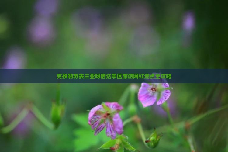克孜勒苏去三亚呀诺达景区旅游网红地点