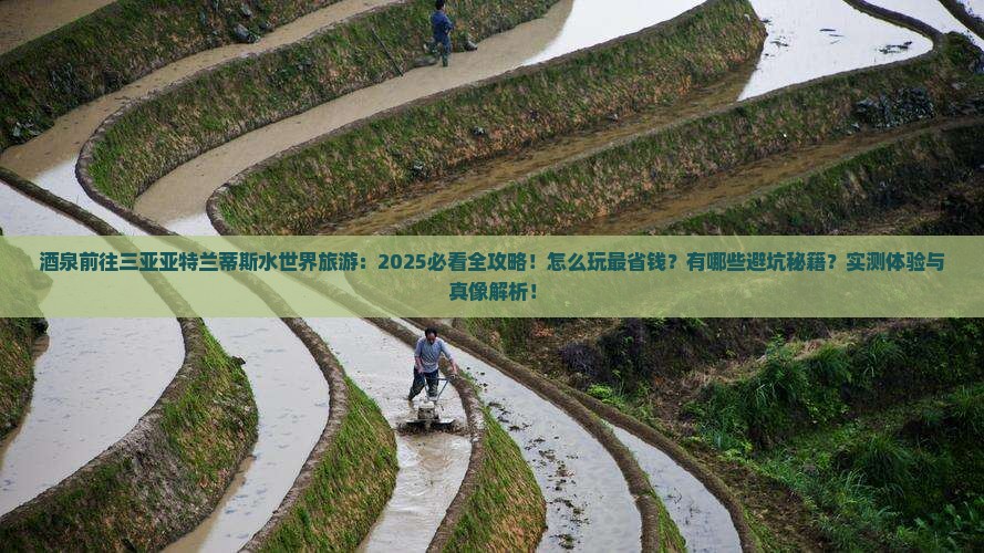 酒泉前往三亚亚特兰蒂斯水世界旅游