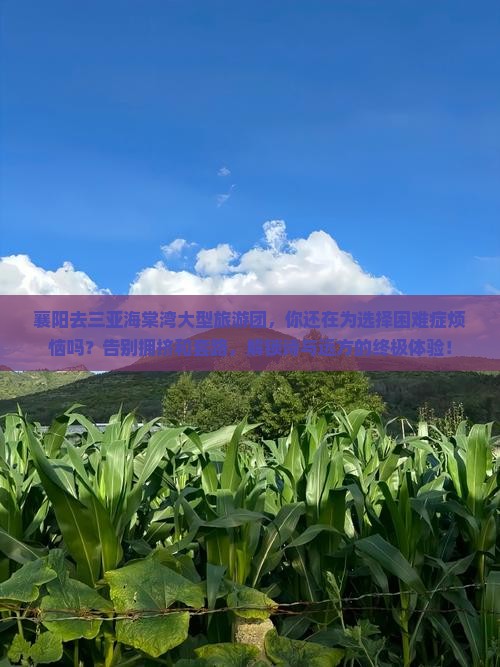 襄阳去三亚海棠湾大型旅游团