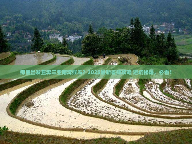 那曲去三亚南湾猴岛门票