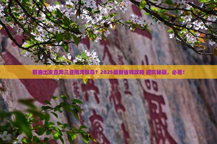 那曲去三亚南湾猴岛门票