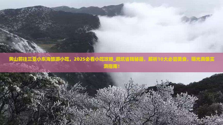黄山前往三亚小东海旅游小吃