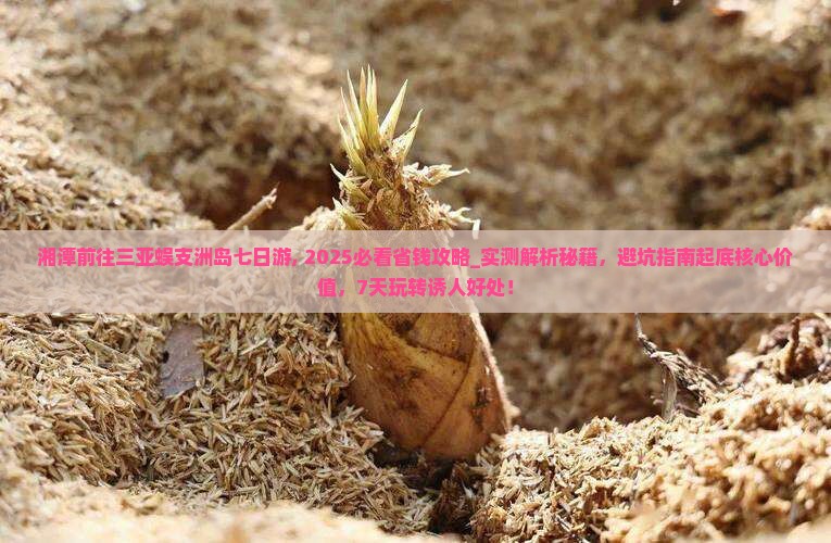 湘潭前往三亚蜈支洲岛七日游