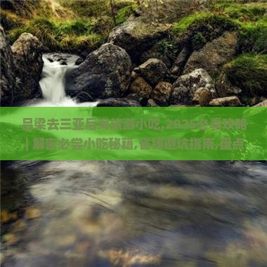 吕梁去三亚后海旅游小吃