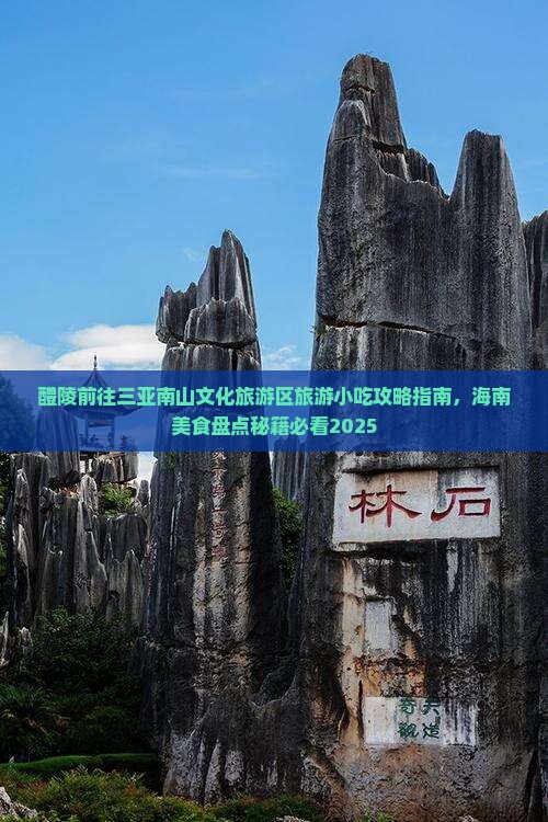 醴陵前往三亚南山文化旅游区旅游小吃