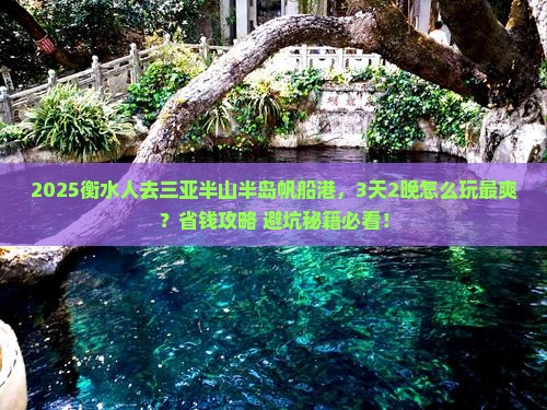 衡水去三亚半山半岛帆船港旅行社