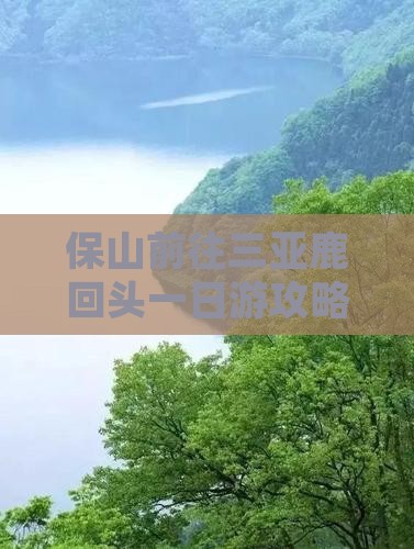 保山前往三亚鹿回头一日游