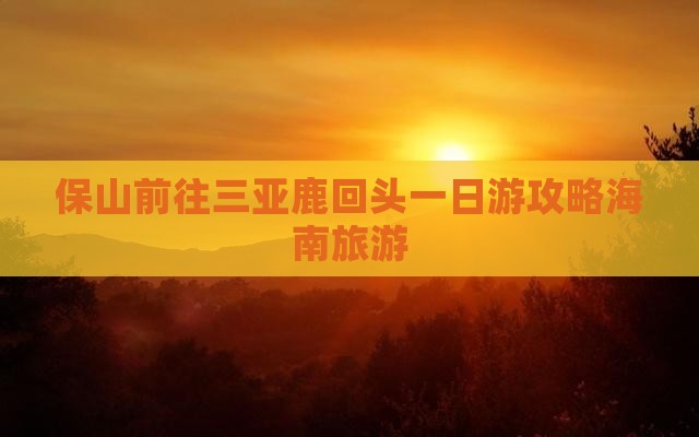 保山前往三亚鹿回头一日游