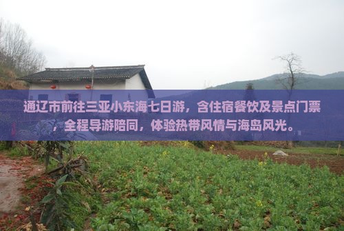 通辽市前往三亚小东海七日游