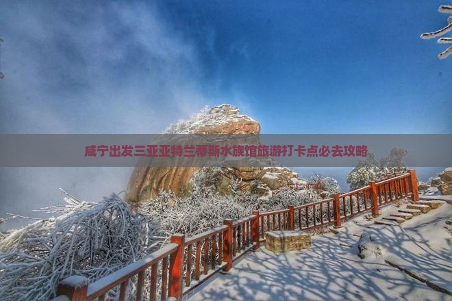 咸宁出发三亚亚特兰蒂斯水族馆旅游打卡点