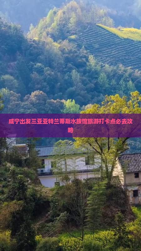 咸宁出发三亚亚特兰蒂斯水族馆旅游打卡点