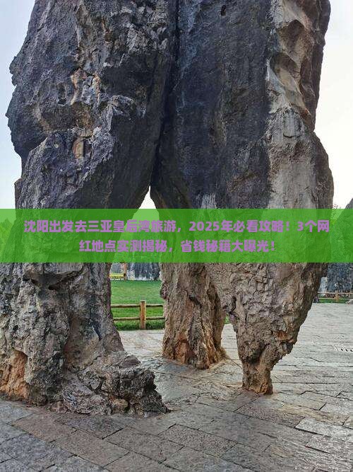 沈阳出发三亚皇后湾旅游网红地点