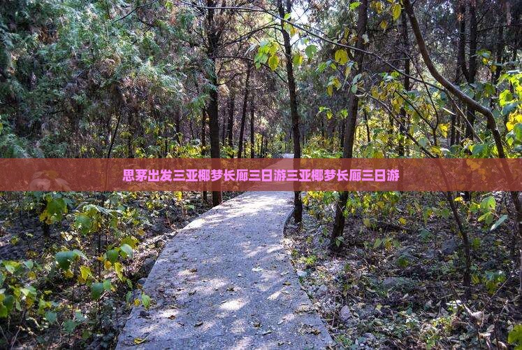 思茅出发三亚椰梦长廊三日游