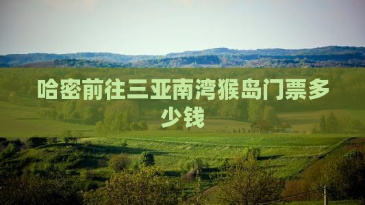 哈密前往三亚南湾猴岛门票