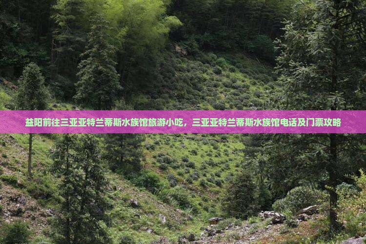 益阳前往三亚亚特兰蒂斯水族馆旅游小吃