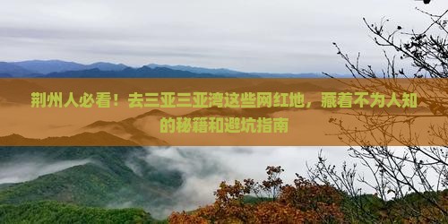 荆州去三亚三亚湾旅游网红地点