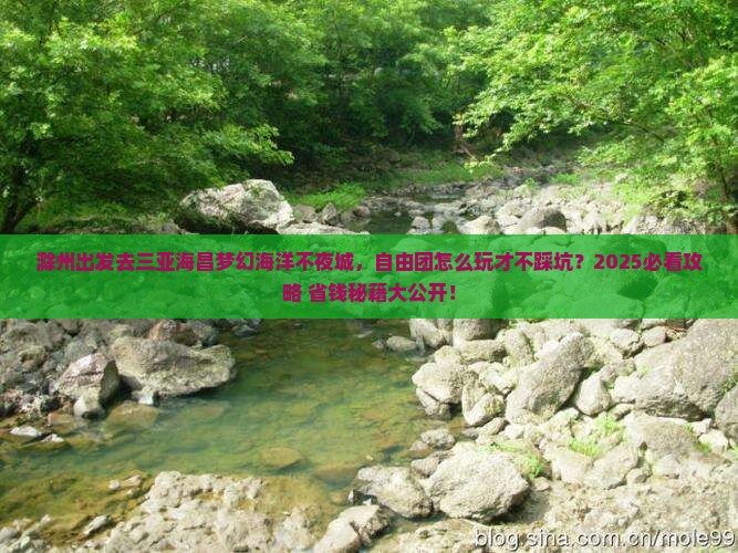 滁州去三亚海昌梦幻海洋不夜城自由团