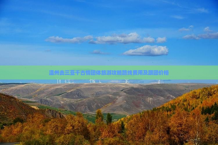 温州去三亚千古情团体旅游