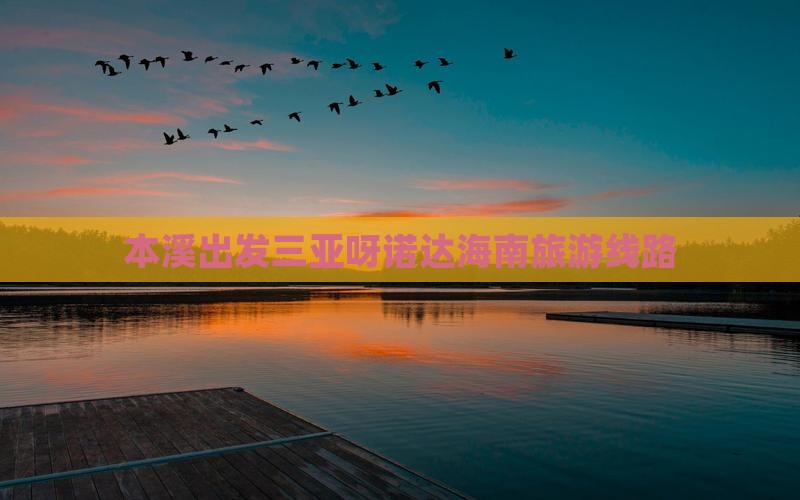 本溪前往三亚呀诺达景区旅行社