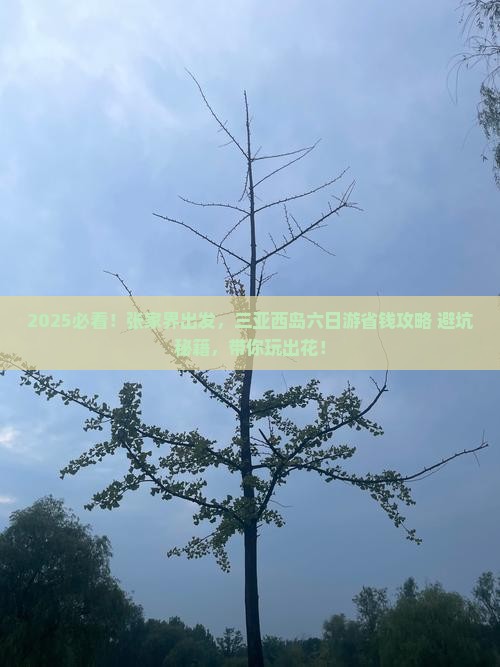 张家界去三亚西岛六日游