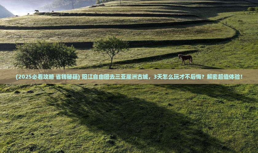 阳江去三亚崖洲古城自由团