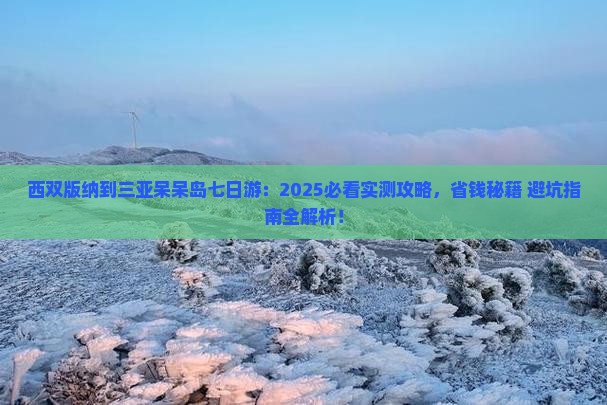 西双版纳前往三亚呆呆岛七日游