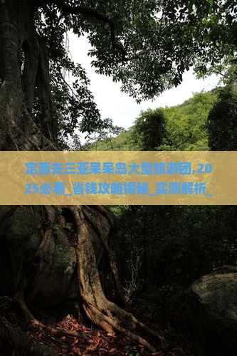 定西去三亚呆呆岛大型旅游团