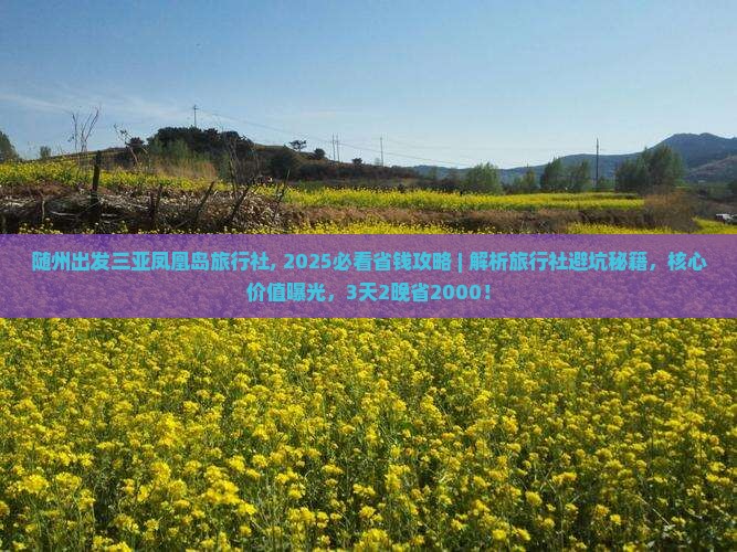 随州出发三亚凤凰岛旅行社