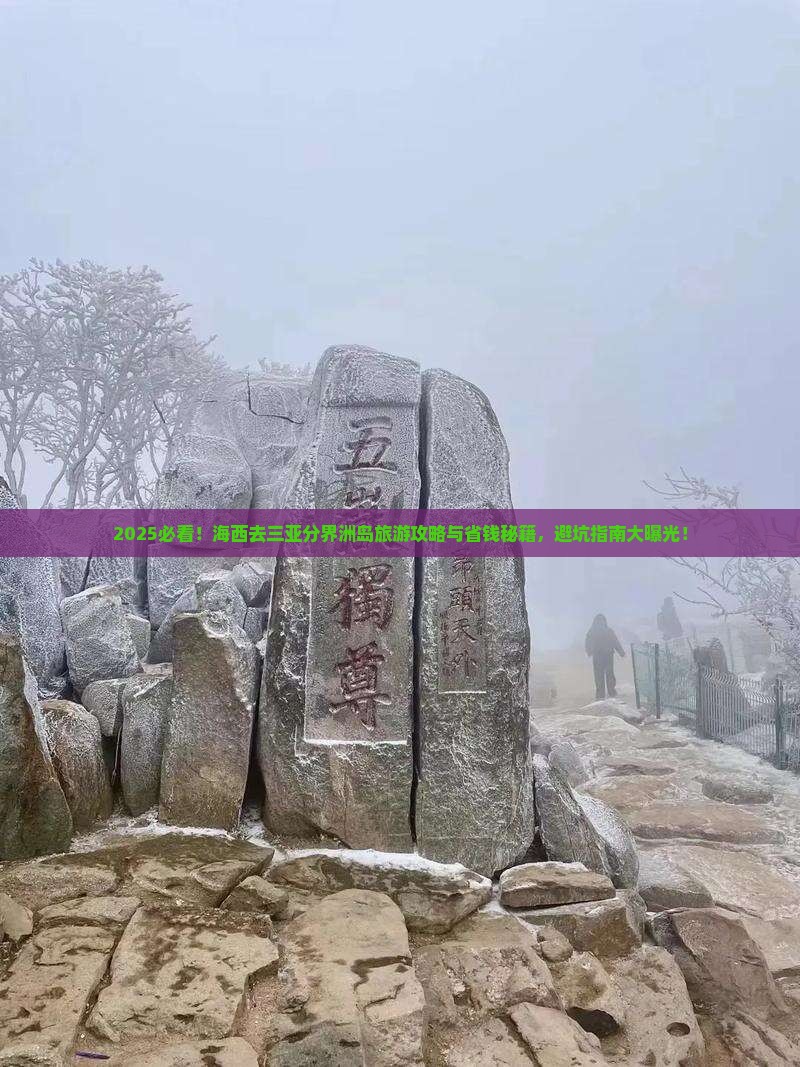 海西去三亚分界洲岛旅游