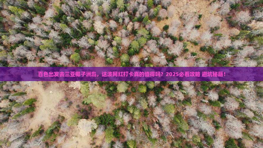 百色去三亚椰子洲岛旅游网红地点 百色去三亚椰子洲岛旅游网红地点