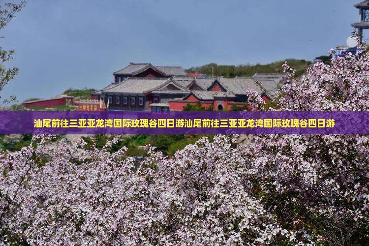 汕尾前往三亚亚龙湾国际玫瑰谷四日游