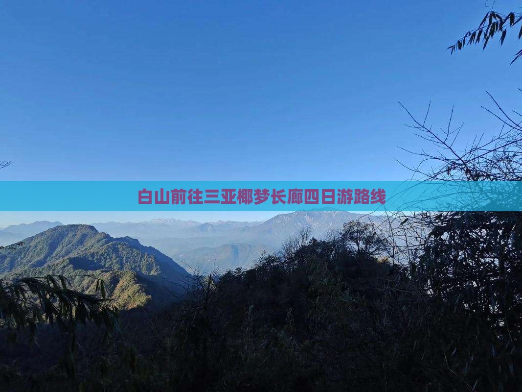 白山前往三亚椰梦长廊四日游