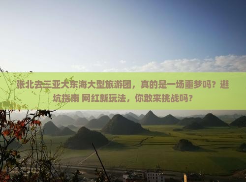 张北去三亚大东海大型旅游团