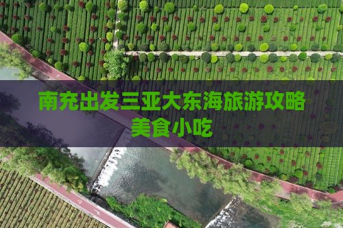 南充出发三亚大东海旅游小吃