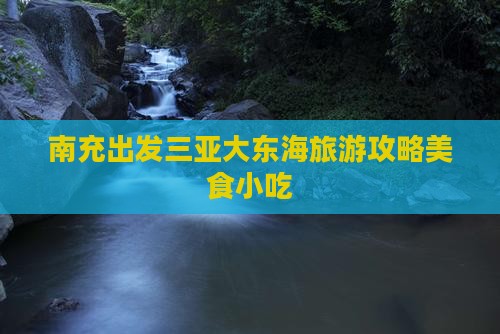 南充出发三亚大东海旅游小吃