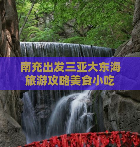 南充出发三亚大东海旅游小吃
