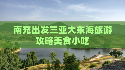 南充出发三亚大东海旅游小吃